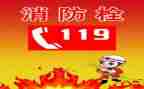 119主题活动教案精选8篇