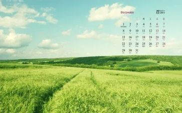 蒙氏幼儿园12月工作总结6篇