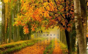 蒙氏幼儿园12月工作总结5篇