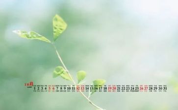 11至12月份工作总结8篇
