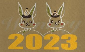 2023年度医生考核个人工作总结6篇