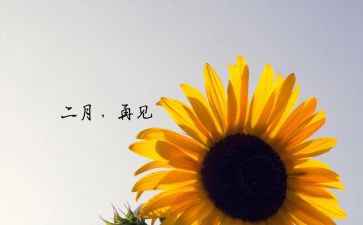 中班2月份工作计划5篇