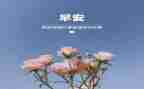 3月份活动总结7篇