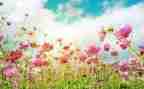 3月工作总结和下月计划8篇
