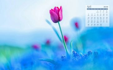 4月的工作计划8篇