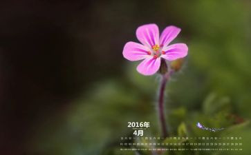4月份个人工作总结范文5篇