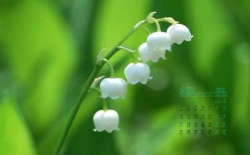 4月的工作总结模板7篇
