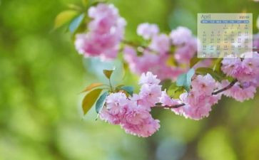 幼儿小班4月工作总结8篇