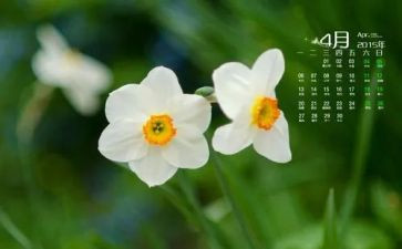 小学班主任4月份工作总结5篇