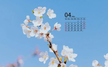 销售人员4月工作总结范文6篇