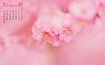 4月的工作总结8篇