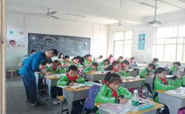 单双数大班数学教案精选5篇