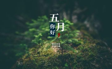 5月度财务人员工作总结7篇