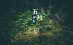 5月度财务人员工作总结7篇