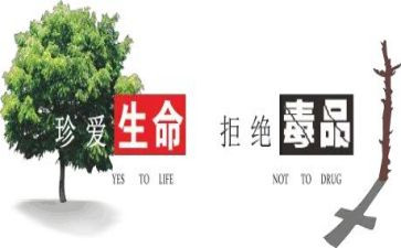 学校626宣传活动方案参考7篇