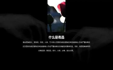 626禁毒宣传活动总结推荐8篇