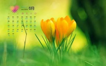 2024年6月党日活动总结最新5篇