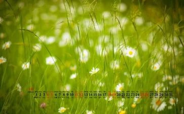 7月安全工作总结最新6篇