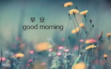 村1一8月份工作总结7篇