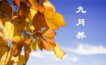 幼儿园大班2024年9月工作总结6篇