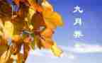 幼儿园大班2024年9月工作总结6篇