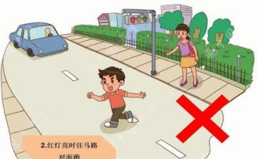 安全的心得体会精选7篇