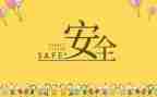 安全员的年度总结7篇