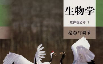 生物组工作总结范文通用8篇