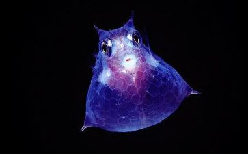 生物教师工作总结优质5篇