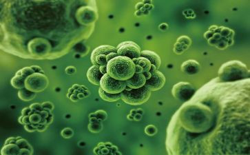 初一生物工作计划7篇
