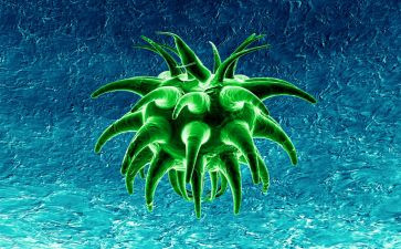 学生物的心得体会推荐8篇