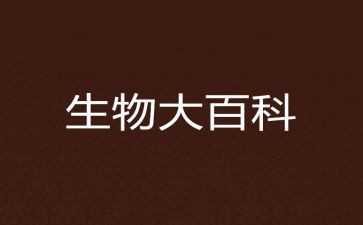 八生物备课组工作总结优质6篇