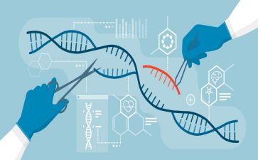 中学生物实验工作总结6篇