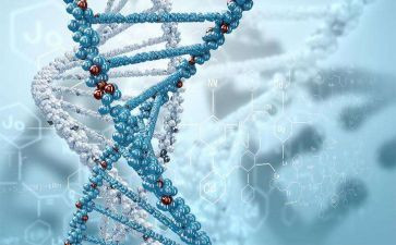 高中生物组教研工作总结6篇