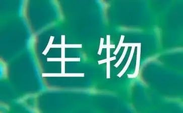 初中生物教师工作总结5篇