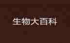 八生物备课组工作总结优质6篇