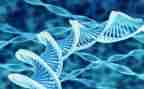 初一生物教师个人工作总结6篇
