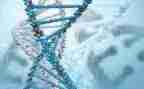 高中生物组教研工作总结6篇