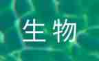 初中生物教师工作总结5篇