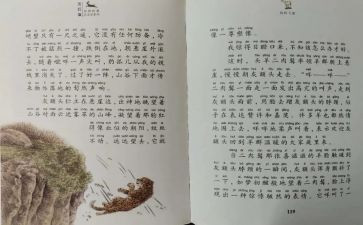 斑羚飞渡读后感8篇