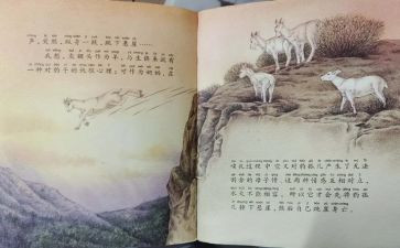 斑羚飞渡的心得体会优质7篇