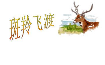 斑羚飞渡读后感优质6篇