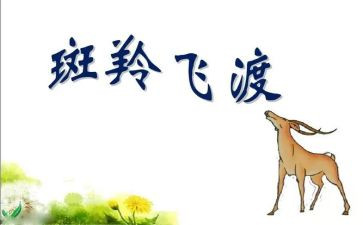 斑羚飞渡心得通用6篇