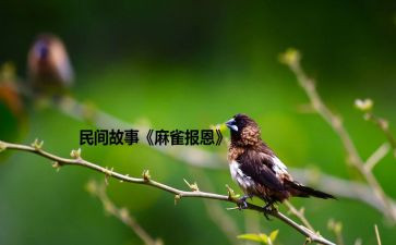 感恩和报恩的演讲稿7篇
