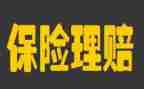 保险公司个人述职报告7篇