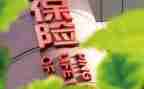 保险公司员年终总结范文8篇