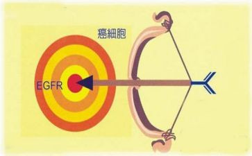 靶向式培训工作总结范文参考8篇