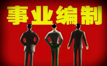 编制工作个人总结8篇