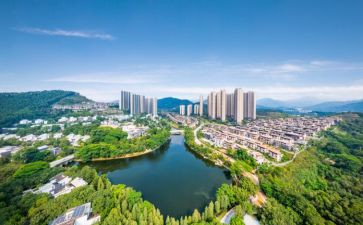 碧桂园物业转正申请书6篇