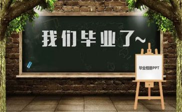 观看毕设心得体会7篇